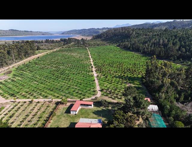 FARM FOR SALE IN RONDEVLEI